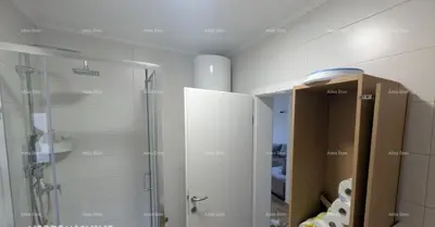 Wohnung 70 m², Brtonigla - Garten und zwei Stellplaetze - 17