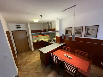 Apartment 45 m², Novigrad - 50 m from the sea and beach - 3