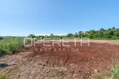Landwirtschaftliches Grundstück 881 m², Brtonigla - an der asphaltierten Straße - 3