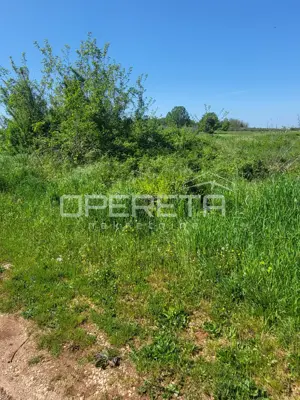 Poljoprivredno zemljište 881 m², Brtonigla - uz asfaltiranu cestu