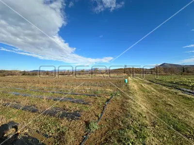 Landwirtschaftsfläche 96 040 m², Ramljane bei Kosovčica - 8