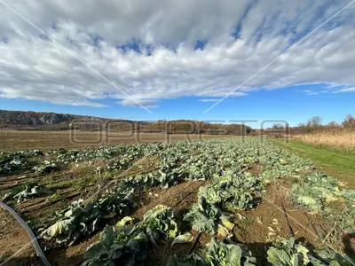 Landwirtschaftsfläche 96 040 m², Ramljane bei Kosovčica - 11