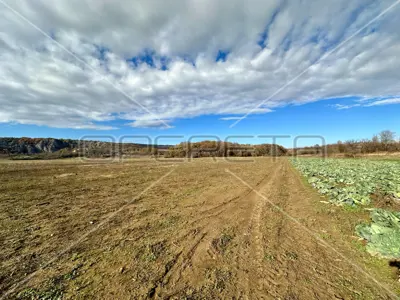 Landwirtschaftsfläche 96 040 m², Ramljane bei Kosovčica - 4