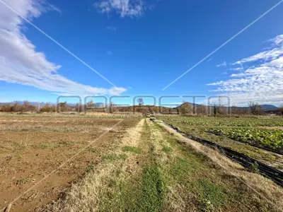 Landwirtschaftsfläche 96 040 m², Ramljane bei Kosovčica - 9