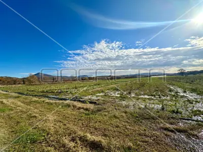 Landwirtschaftsfläche 96 040 m², Ramljane bei Kosovčica - 6