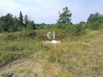 Baugrundstück 2 195 m², Brtonigla - in der Nähe des Zentrums - 2
