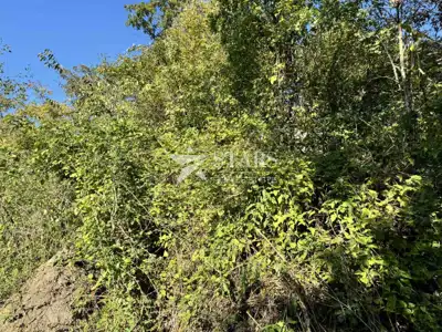 Građevinsko zemljište 1.269 m², Spinčići - mirno okruženje - 4