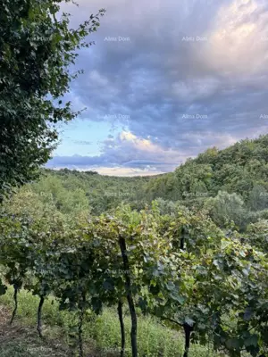 House 303 m², Gračišće - peaceful stancija with privacy - 14
