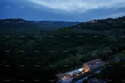 Villa in Motovun, panoramic view and privacy - 17