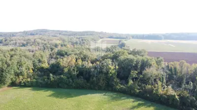 Agricultural land 14,882 m², Poreč - flat and maintained - 2