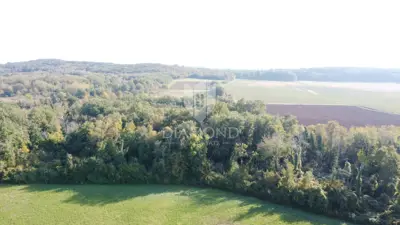 Agricultural land 14,882 m², Poreč - flat and maintained - 3