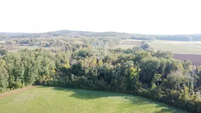 Agricultural land 14,882 m², Poreč - flat and maintained