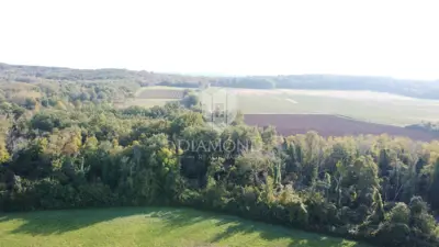 Agricultural land 14,882 m², Poreč - flat and maintained - 4