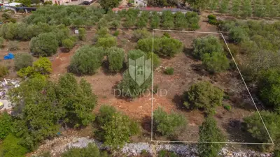 Baugrundstück 1.200 m², Buje - Blick auf die Stadt und Olivenhaine
