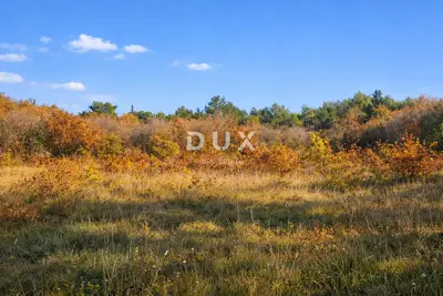 Agricultural land, Umag-Savudrija - peaceful and sunny