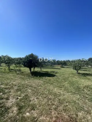 Building land in Rakalj, quiet location near the sea