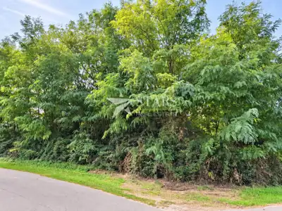 Building land, Pićan - quiet location and road access - 3