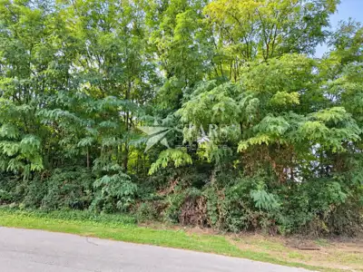 Building land, Pićan - quiet location and road access - 2