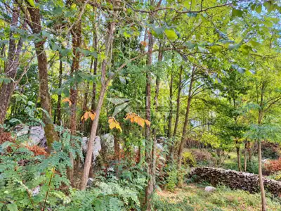 Building land, Pićan - quiet location and road access - 5