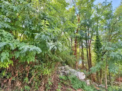 Building land, Pićan - quiet location and road access - 4