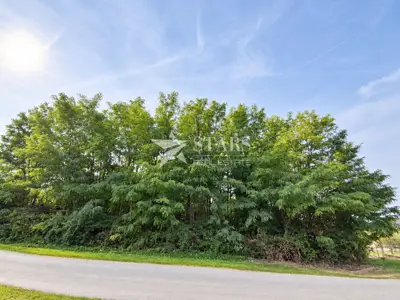 Building land, Pićan - quiet location and road access - 8