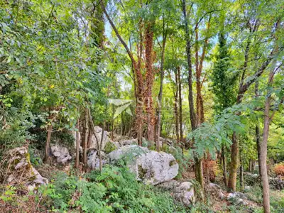 Building land, Pićan - quiet location and road access - 6