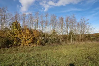 Gračišće, plot 1,665 m² with building permit - 8