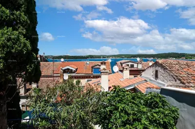 Immobilie in Rovinj, Istrien - 12