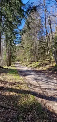 Land, Ravna Gora - 3 plots, year-round access