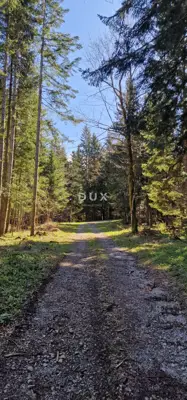 Land, Ravna Gora - 3 plots, year-round access - 10