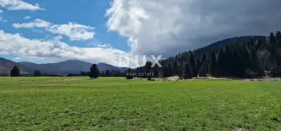 Land, Ravna Gora - 3 plots, year-round access - 13