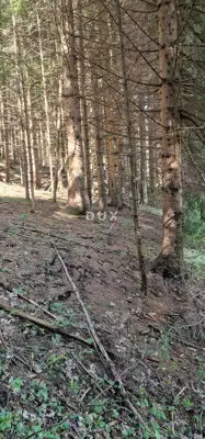 Land, Ravna Gora - 3 plots, year-round access - 9