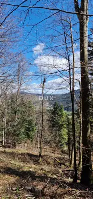 Land, Ravna Gora - 3 plots, year-round access - 12