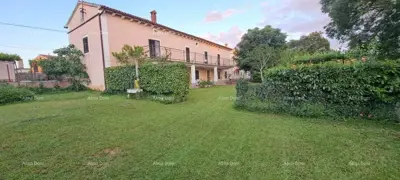 Estate 3 000 m², Štokovci - village center and asphalt access - 7
