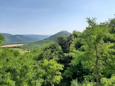 House in Motovun, view of Motovun and peaceful surroundings - 16