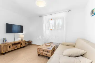 Haus zum Kauf in Pićan, 450 m² - 14
