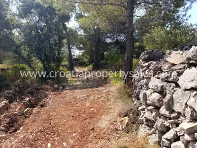 Agricultural estate, Hvar Island, sea view and pine forest - 8