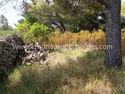 Agricultural estate, Hvar Island, sea view and pine forest - 6