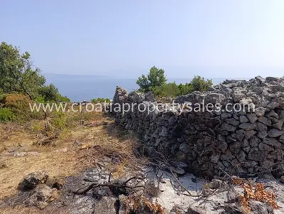 Agricultural estate, Hvar Island, sea view and pine forest - 4