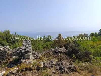 Agricultural estate, Hvar Island, sea view and pine forest - 3