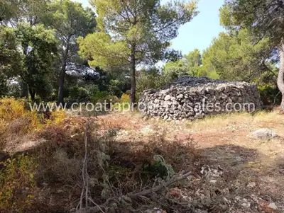 Agricultural estate, Hvar Island, sea view and pine forest - 10