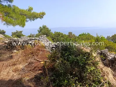 Agricultural estate, Hvar Island, sea view and pine forest - 9