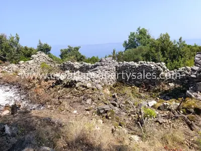 Agricultural estate, Hvar Island, sea view and pine forest - 2