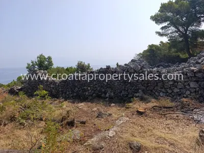 Agricultural estate, Hvar Island, sea view and pine forest - 5
