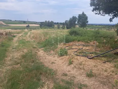 Building plot 927 m², Tar-Vabriga, open view