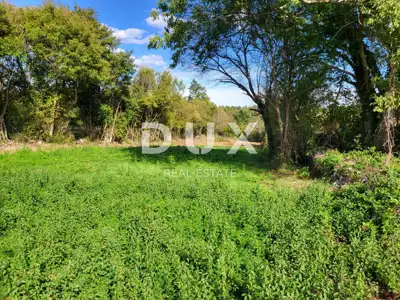 Istra, Barban, građevinsko zemljište, građevinska dozvola, 2041 m² - 6