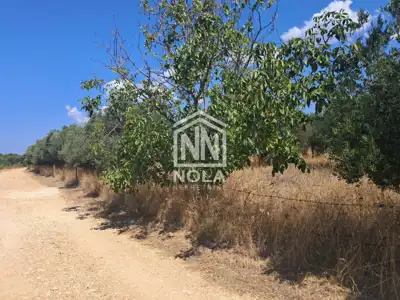 Građevinsko zemljište 2.000 m², Turanj, pogled na more - 3
