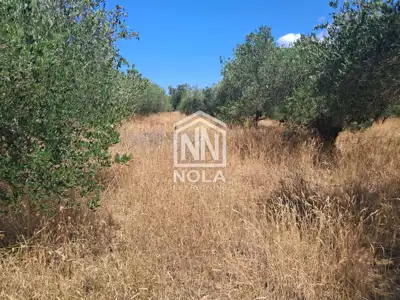 Građevinsko zemljište 2.000 m², Turanj, pogled na more