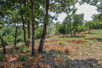 Građevinsko zemljište 1.498 m², Svetvinčenat - mirna okolica - 5