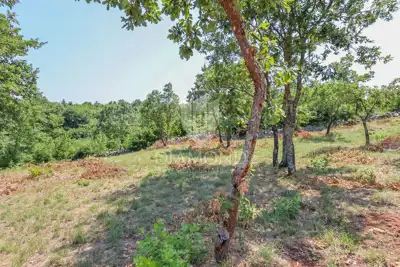Građevinsko zemljište 1.498 m², Svetvinčenat - mirna okolica - 2